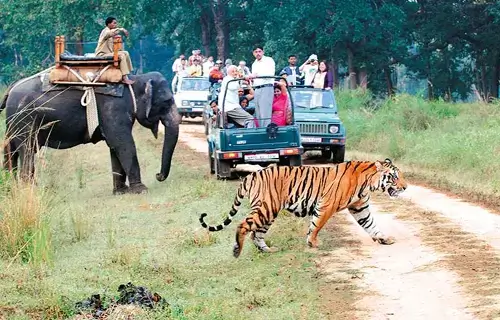 Delhi to Jim Corbett Tour Package